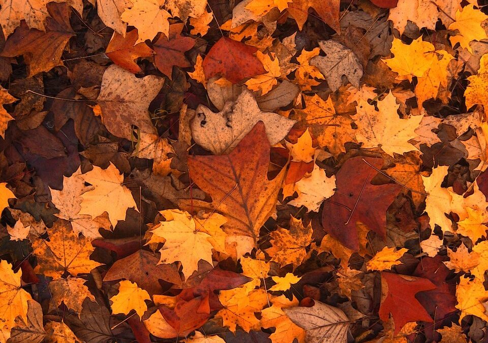 Die Kunst des Loslassens